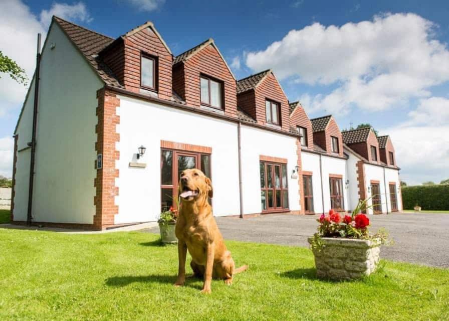White Rose Country Cottages Thormanby 外观 照片